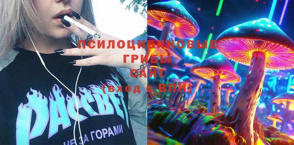 молекула духа Абинск
