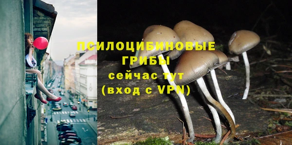 скорость mdpv Алексеевка