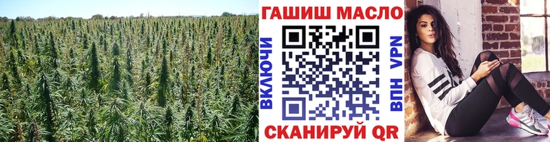 ТГК жижа где купить наркоту MEGA ONION Костерёво