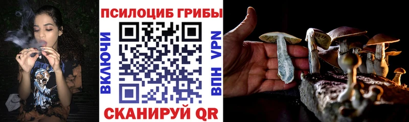 Галлюциногенные грибы Cubensis  где найти наркотики  Костерёво 